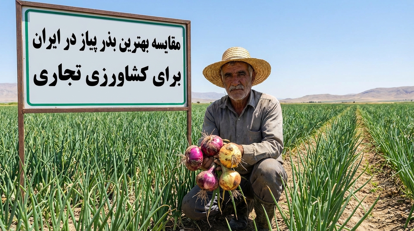 مقایسه بهترین بذر پیاز ایران برای کشاورزی تجاری