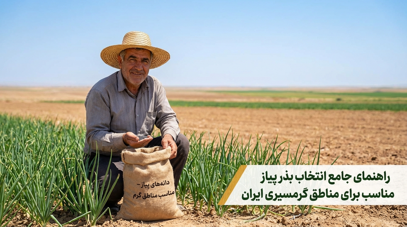 راهنمای جامع انتخاب بذر پیاز مناسب برای مناطق گرمسیری ایران