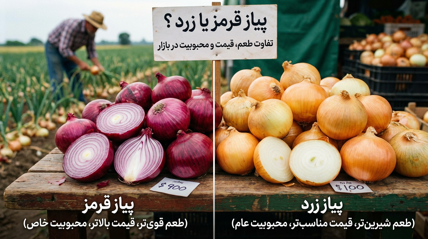 پیاز قرمز یا زرد؟ تفاوت طعم، قیمت و محبوبیت در بازار