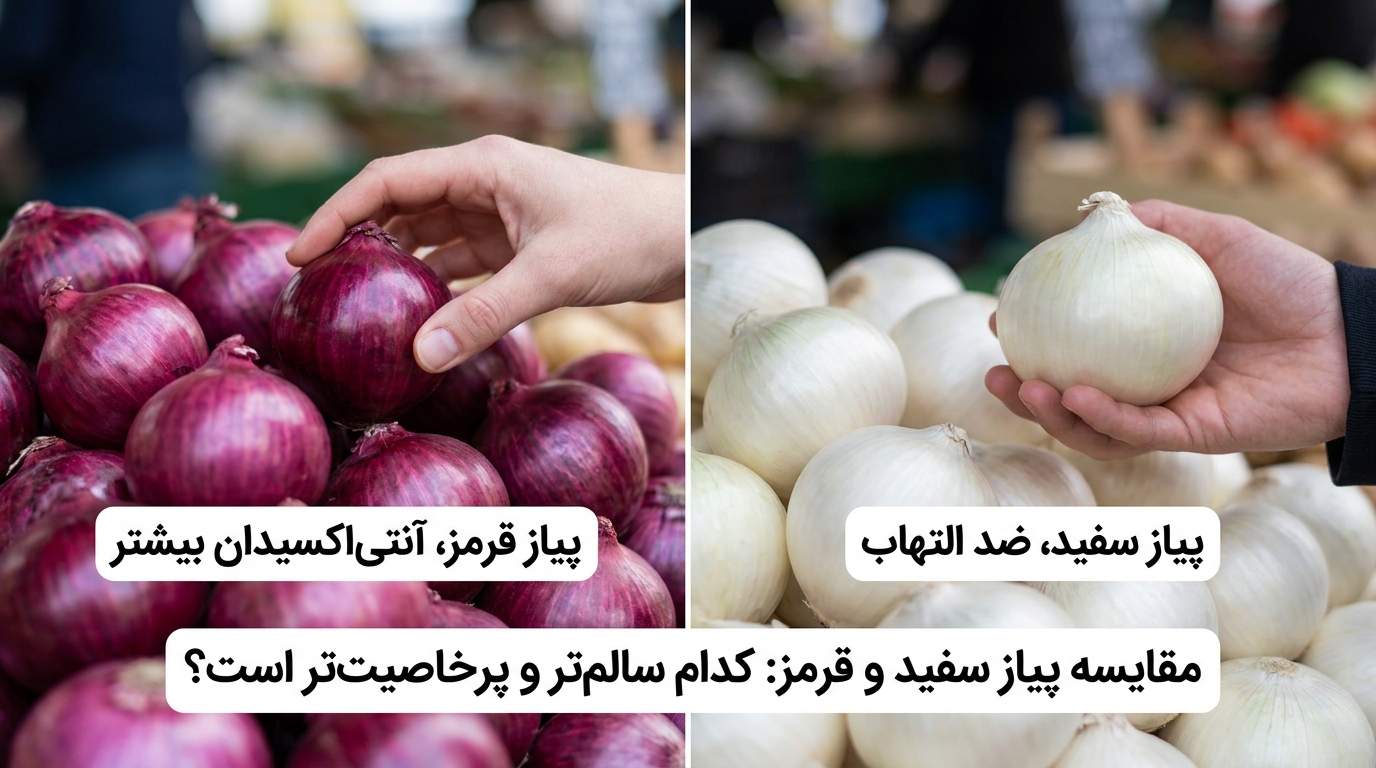 مقایسه پیاز سفید و قرمز: کدام سالم‌تر و پرخاصیت‌تر است؟