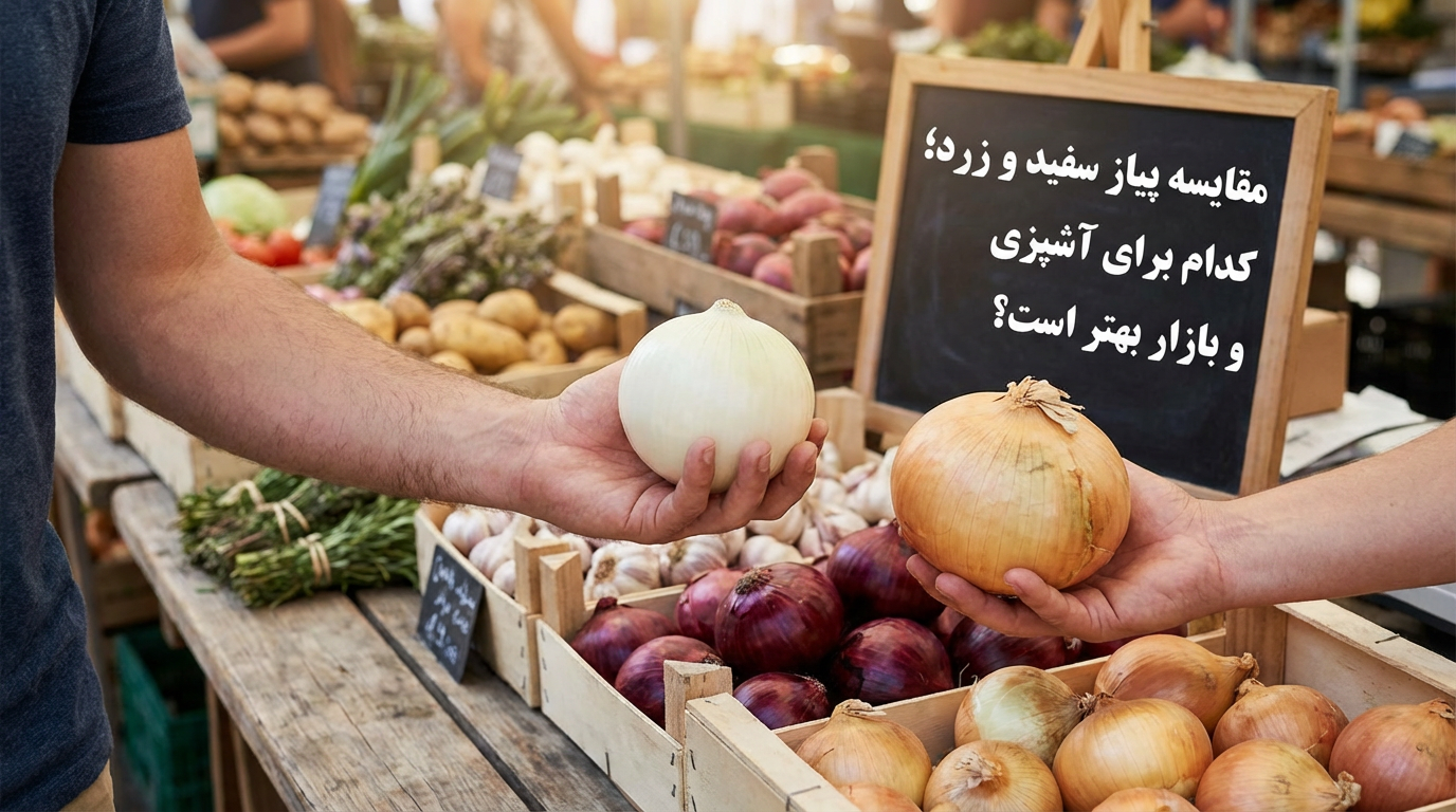 مقایسه پیاز سفید و زرد؛ کدام برای آشپزی و بازار بهتر است؟