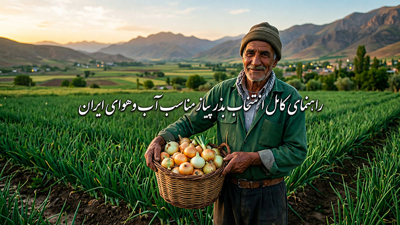 راهنمای کامل انتخاب بذر پیاز مناسب آب و هوای ایران + مقایسه ارقام راتا (زرآوا، مانا، سنا)
