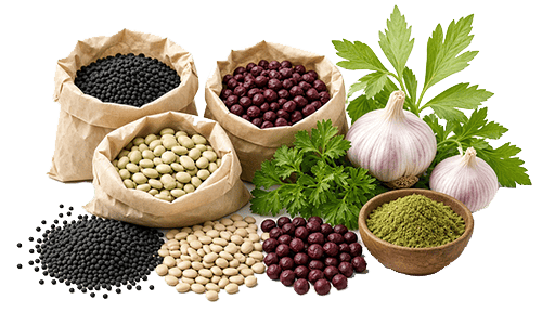 صفحه اصلی 15 بذر سبزیجات راتابذر